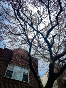 40FDB0AC-86DC-4625-98B9-880250E7794D