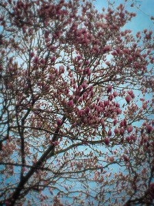 D1AC4158-3630-4AB4-858E-E5B7B989EB63